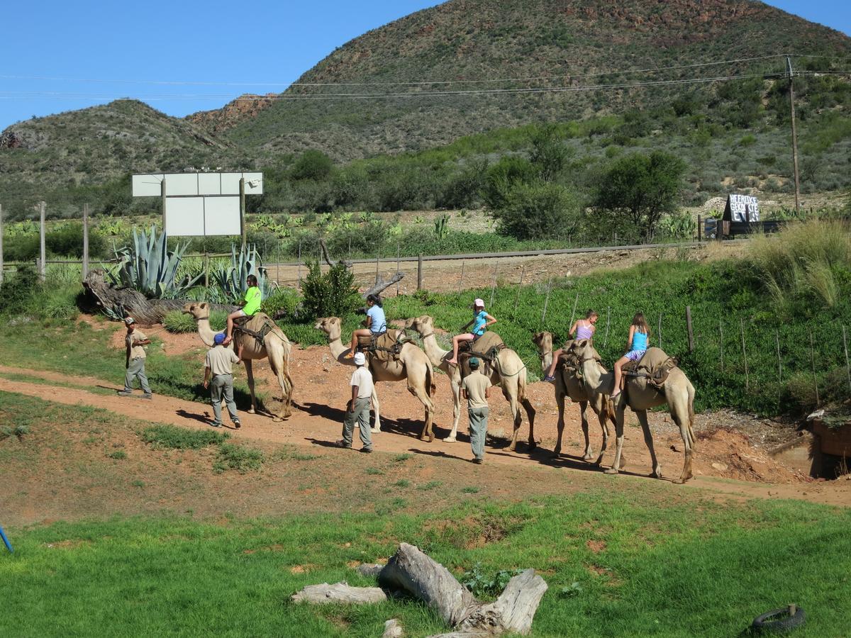 Wilgewandel Holiday Farm & Day Restaurant Oudtshoorn Exterior foto