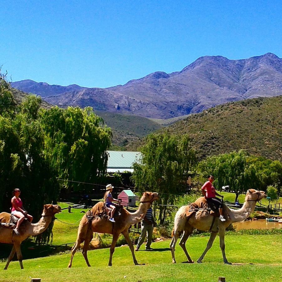 Wilgewandel Holiday Farm & Day Restaurant Oudtshoorn Exterior foto