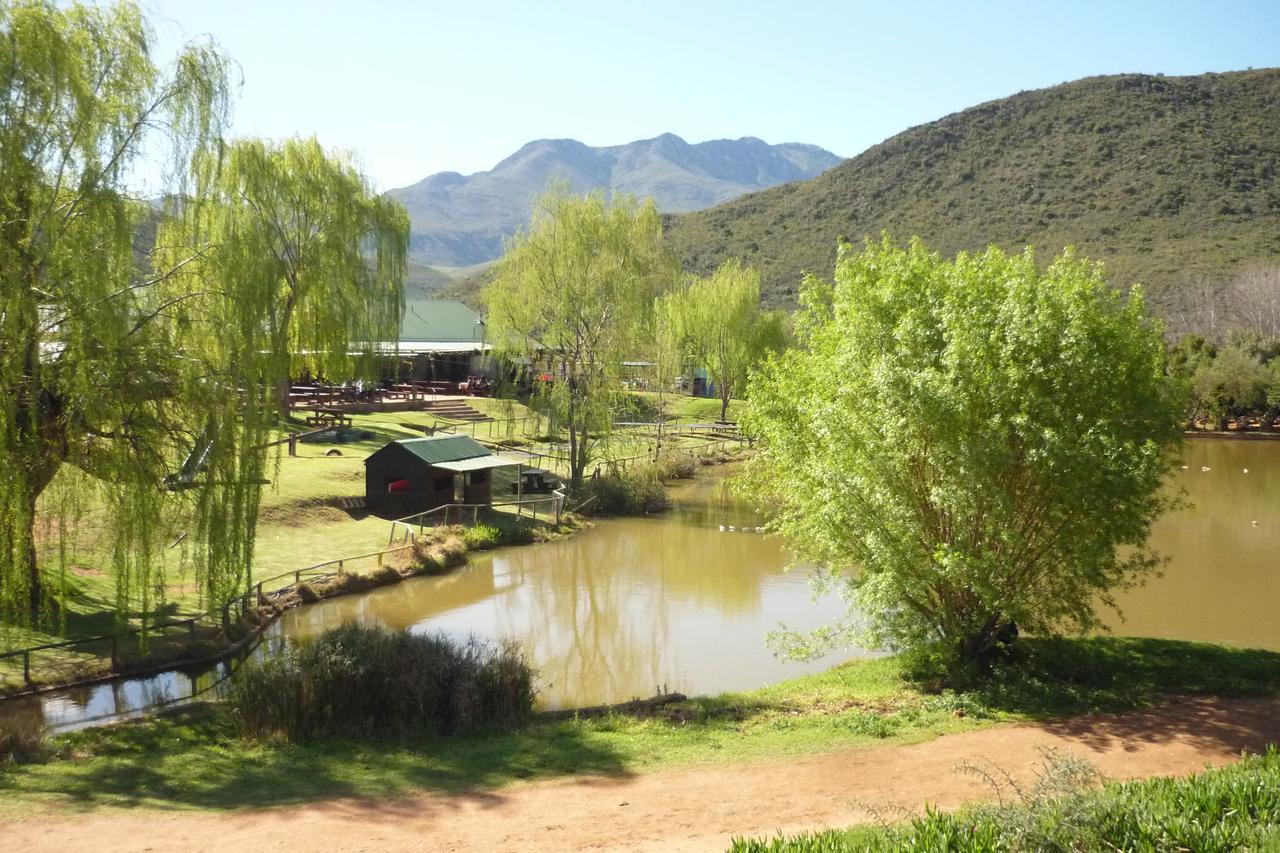 Wilgewandel Holiday Farm & Day Restaurant Oudtshoorn Exterior foto